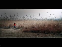 微天堂,揭秘人间仙境的奇迹之旅  第3张