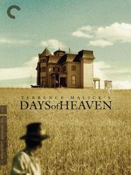 78 Days,揭秘非凡挑战的极限征程  第2张