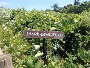 开局我在天堂任职死神 动态漫画,一段奇幻与正义的漫画之旅  第3张