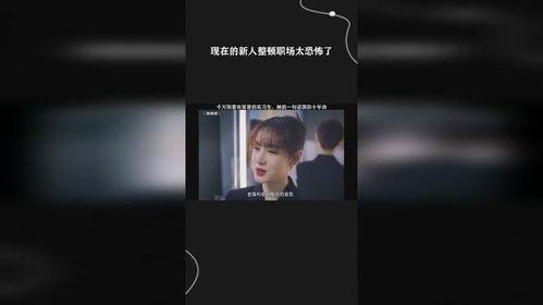 新人整顿职场记,从迷茫到崛起的蜕变之路  第3张