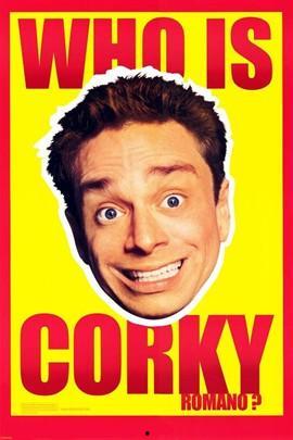 联邦大笨探,揭秘神秘案件背后的智慧与勇气