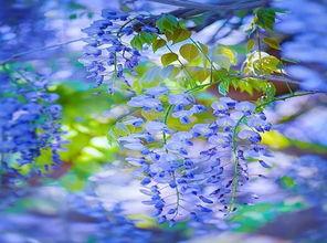 冰蓝遇见暖黄,色彩交融下的视觉盛宴  第2张