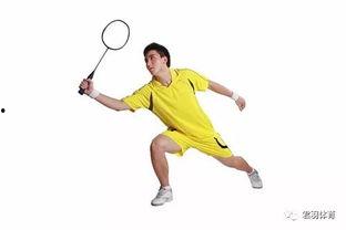 极限S：羽毛球篇,羽毛球竞技巅峰对决  第3张